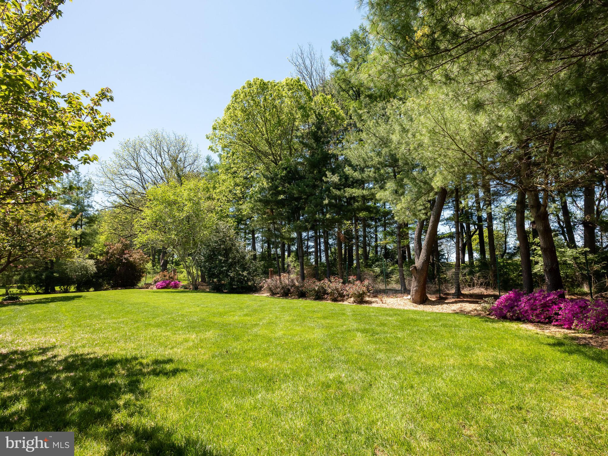 673 Thomas Jefferson Road Wayne, PA 19087 - Photo 57 of 64 a view of a volley ball court