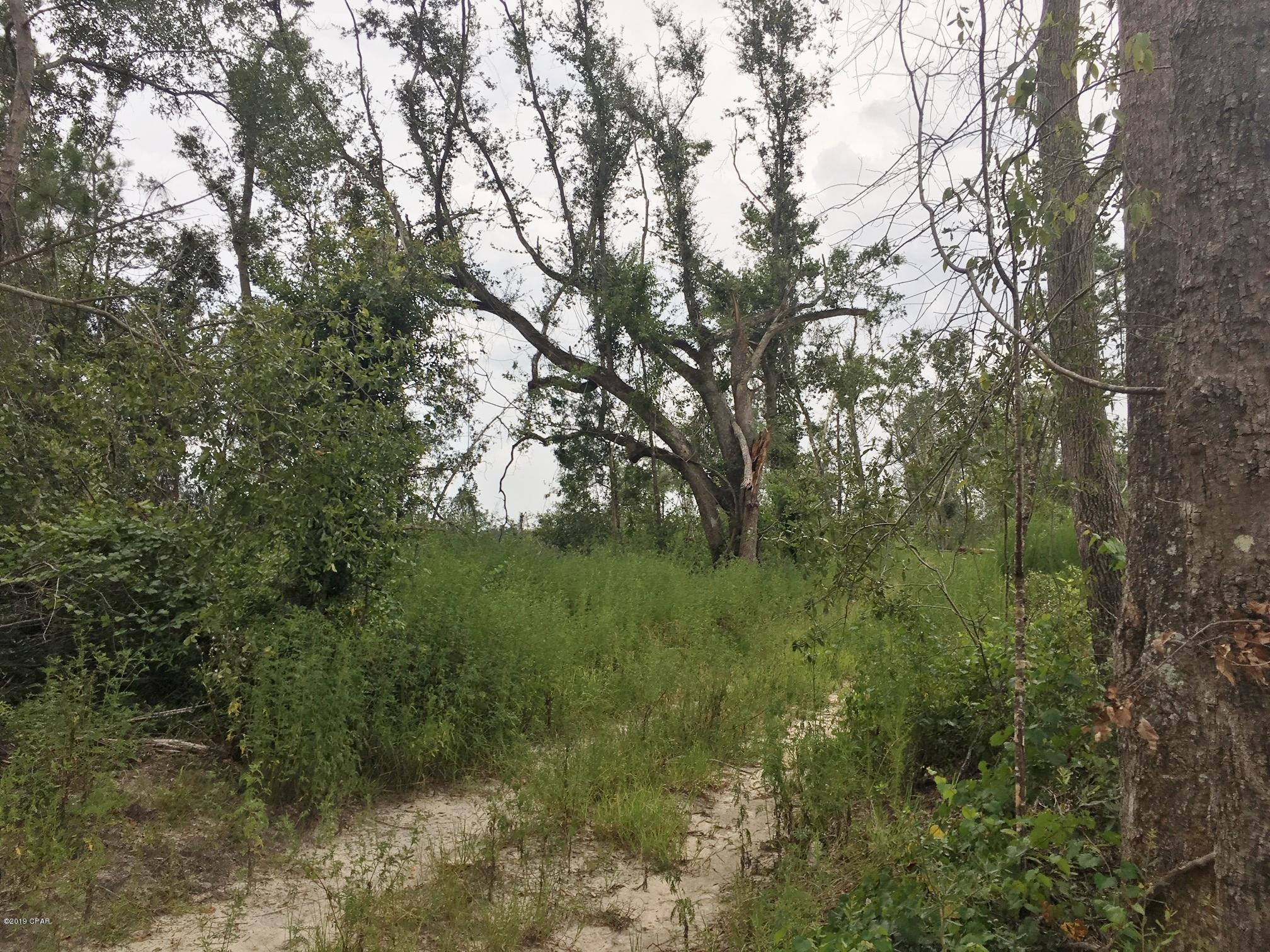 0 Gooseberry Road Bascom, FL 32423 - Photo 13 of 25