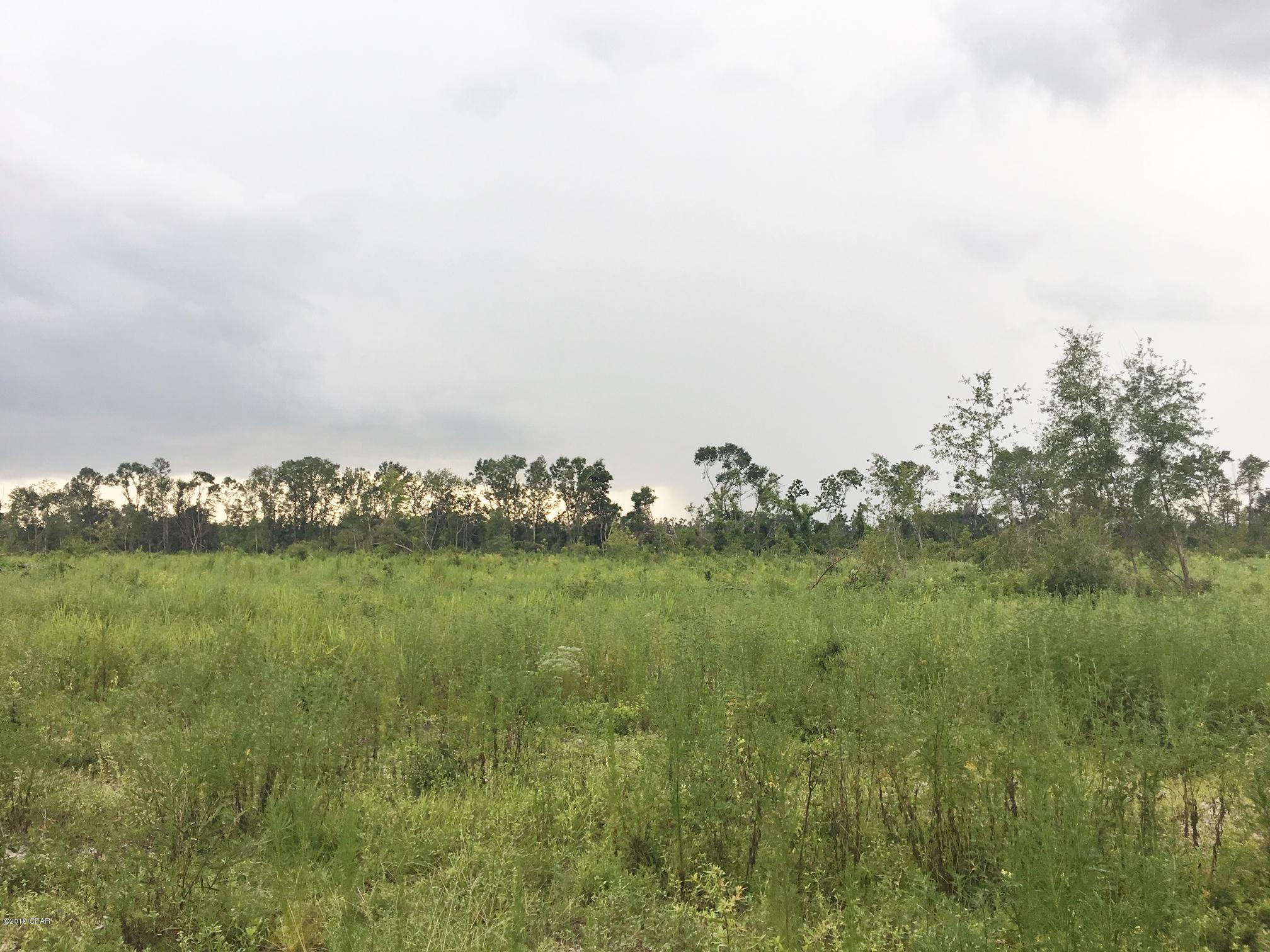0 Gooseberry Road Bascom, FL 32423 - Photo 8 of 25