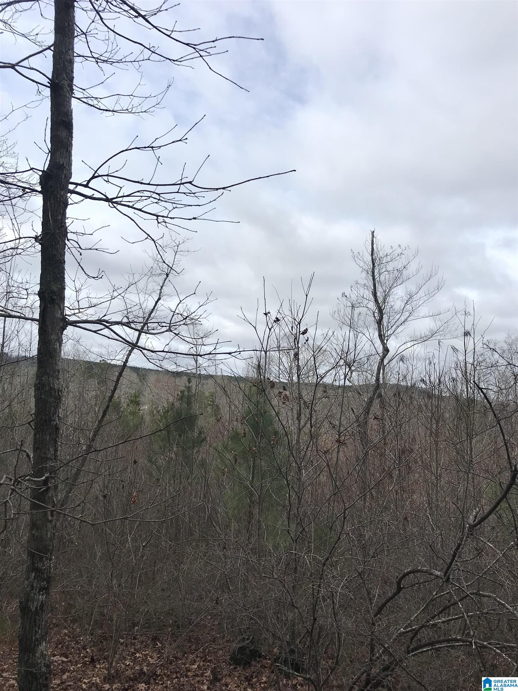 0 Indian Creek Road, Unit 1 Lineville, AL 36266 - Photo 4 of 10