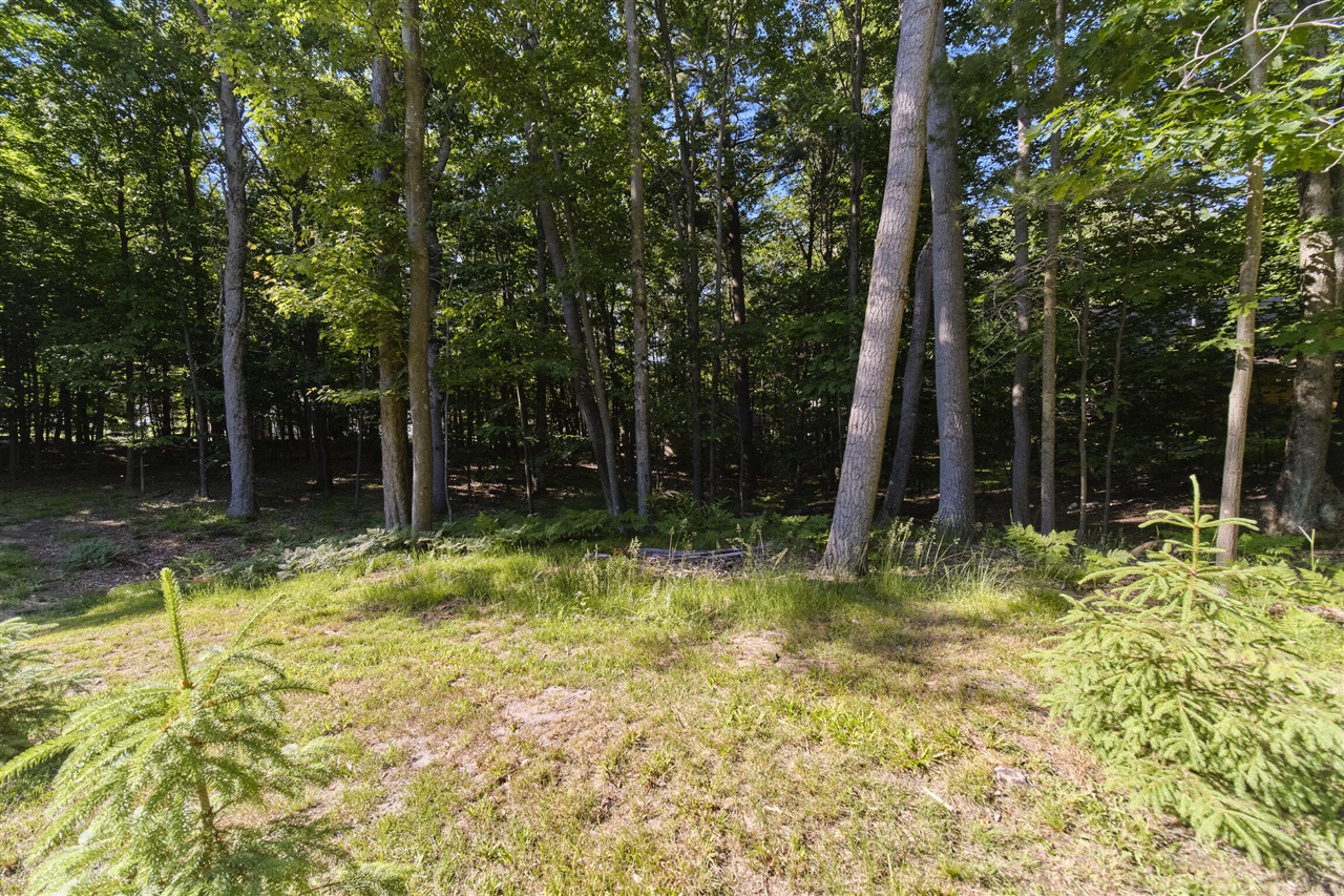 10826 Old Freesoil Road Manistee, MI 49660 - Photo 46 of 58