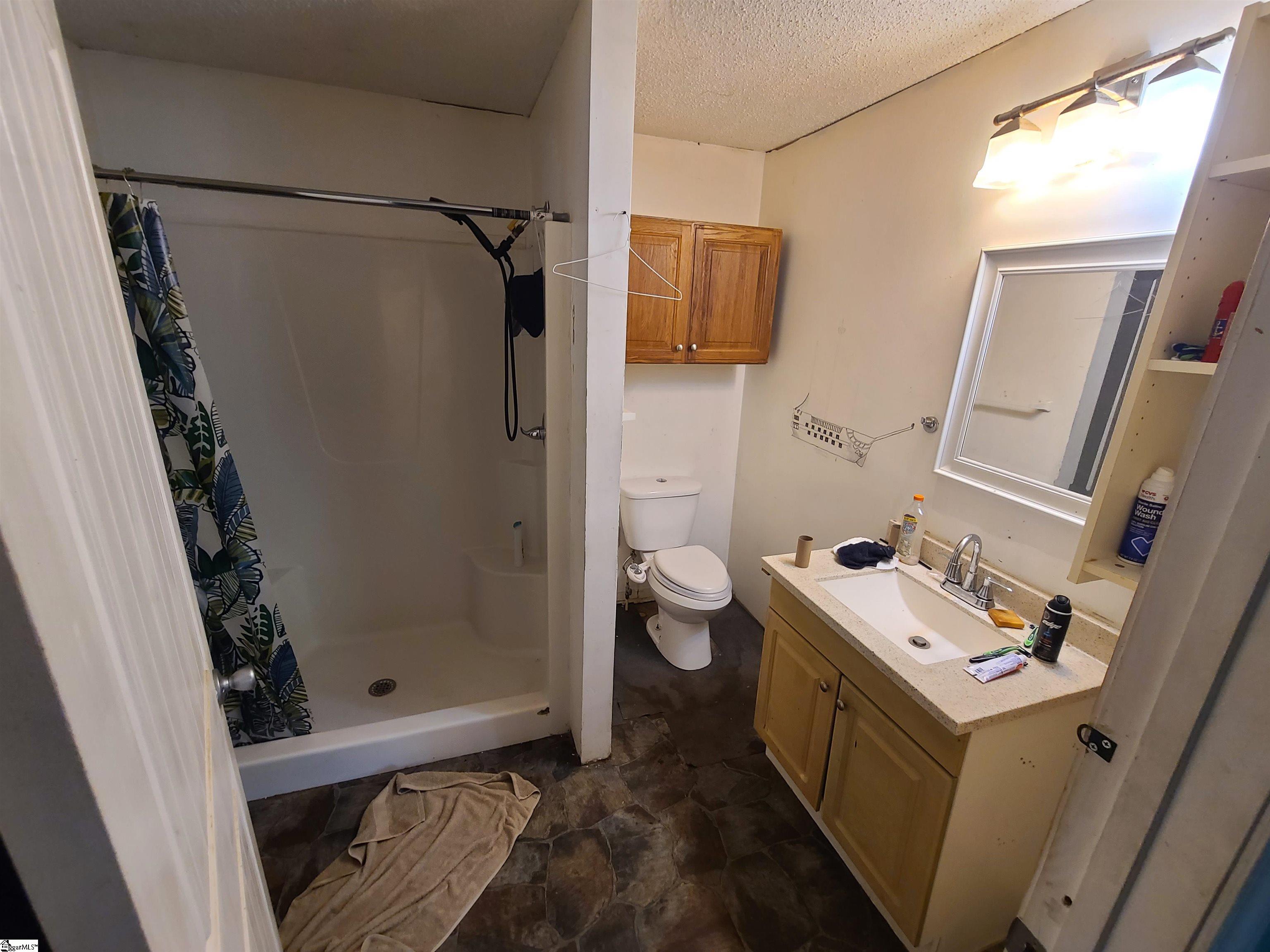 424 True Temper Road Anderson, SC 29624 - Photo 9 of 13