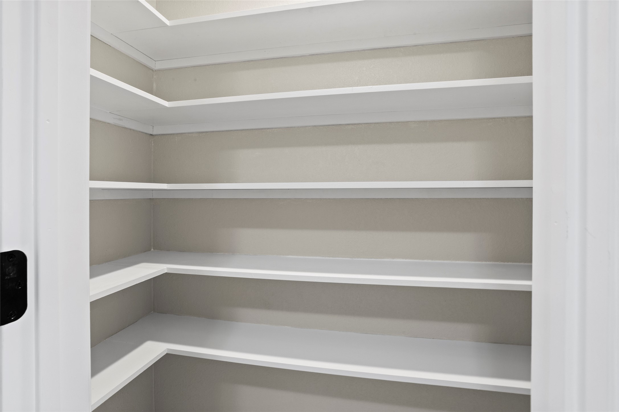 10127 Tolman Street Houston, TX 77034 - Photo 23 of 27 This walk-in pantry offers extensive, organized storage with a clean and bright design that complements the home's modern interior.