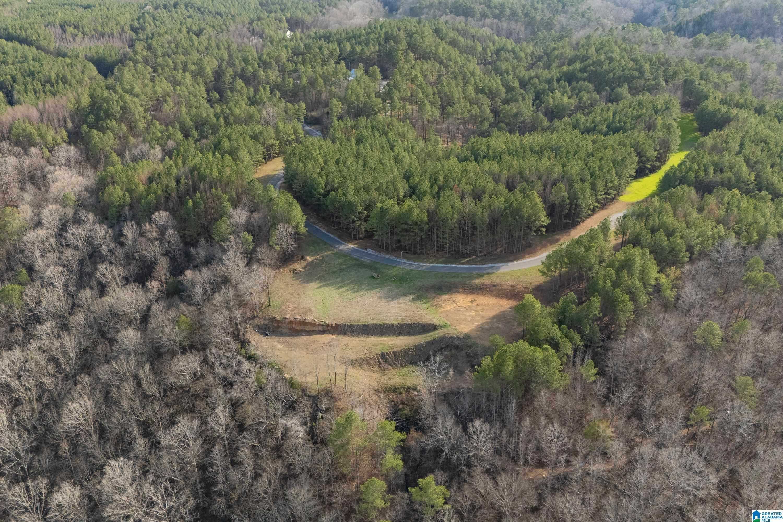 1321 Red Oak Road Helena, AL 35080 - Photo 10 of 12