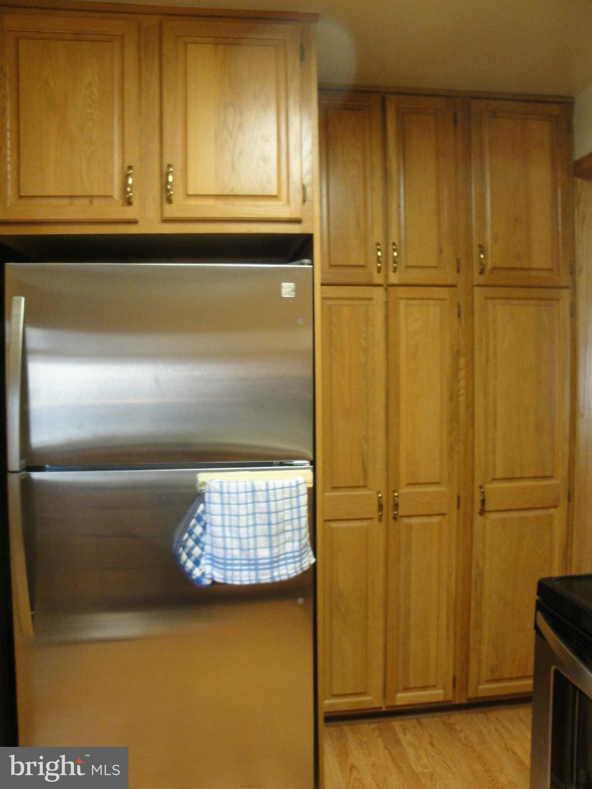 5517 Moultrie Road Springfield, VA 22151 - Photo 8 of 14 Pantry