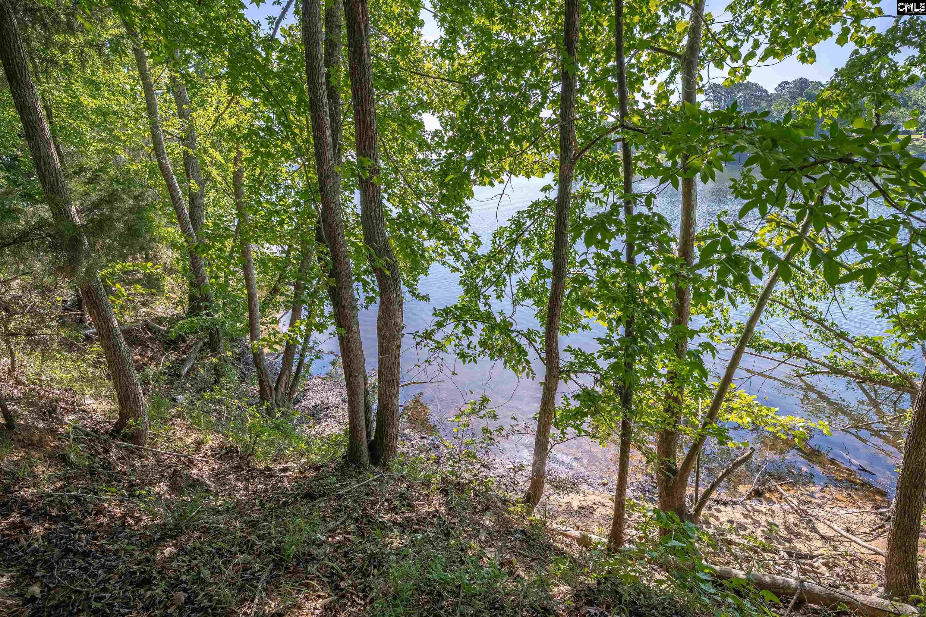 2022 Lake Road Ridgeway, SC 29130 - Photo 12 of 21