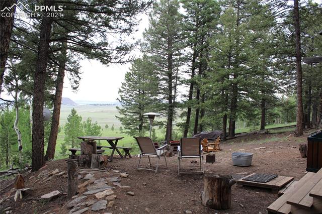3911 Campfire Road Hartsel, CO 80449 - Photo 2 of 31