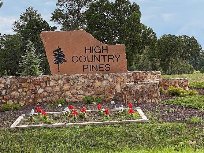 3428 Sierra Circle Heber, AZ 85928 - Photo 32 of 38