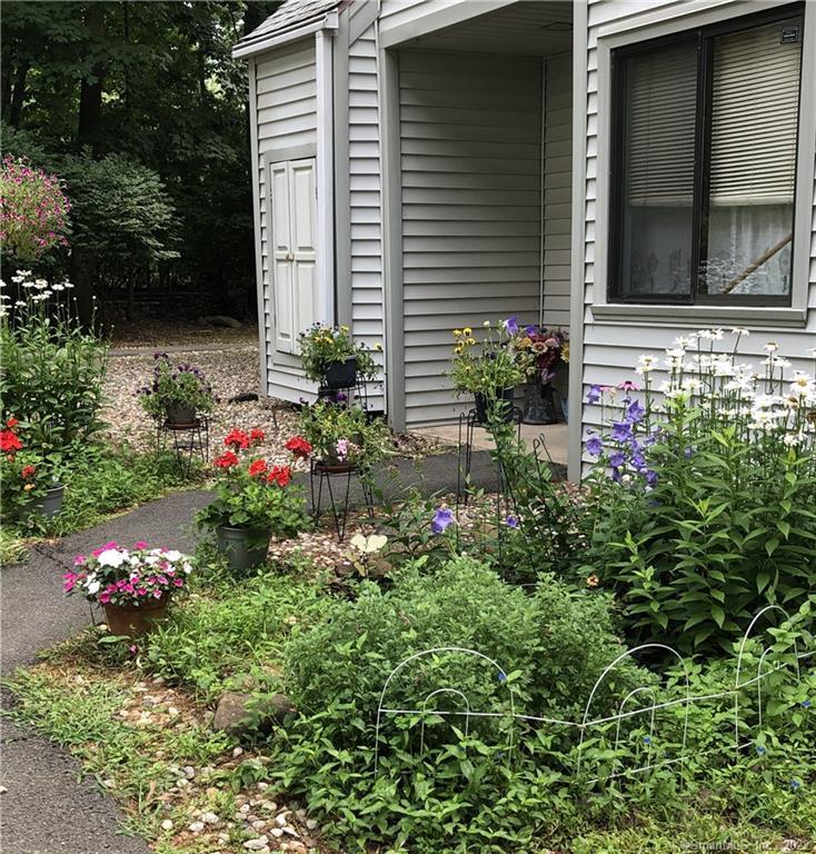 a view of a potted plant in front of a house