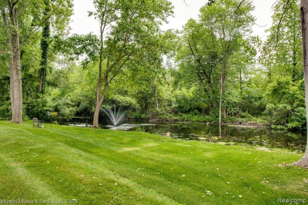 6600 Steeple Ridge, Unit 17 Clarkston, MI 48346 - Photo 34 of 36 Scenic & peaceful pond views