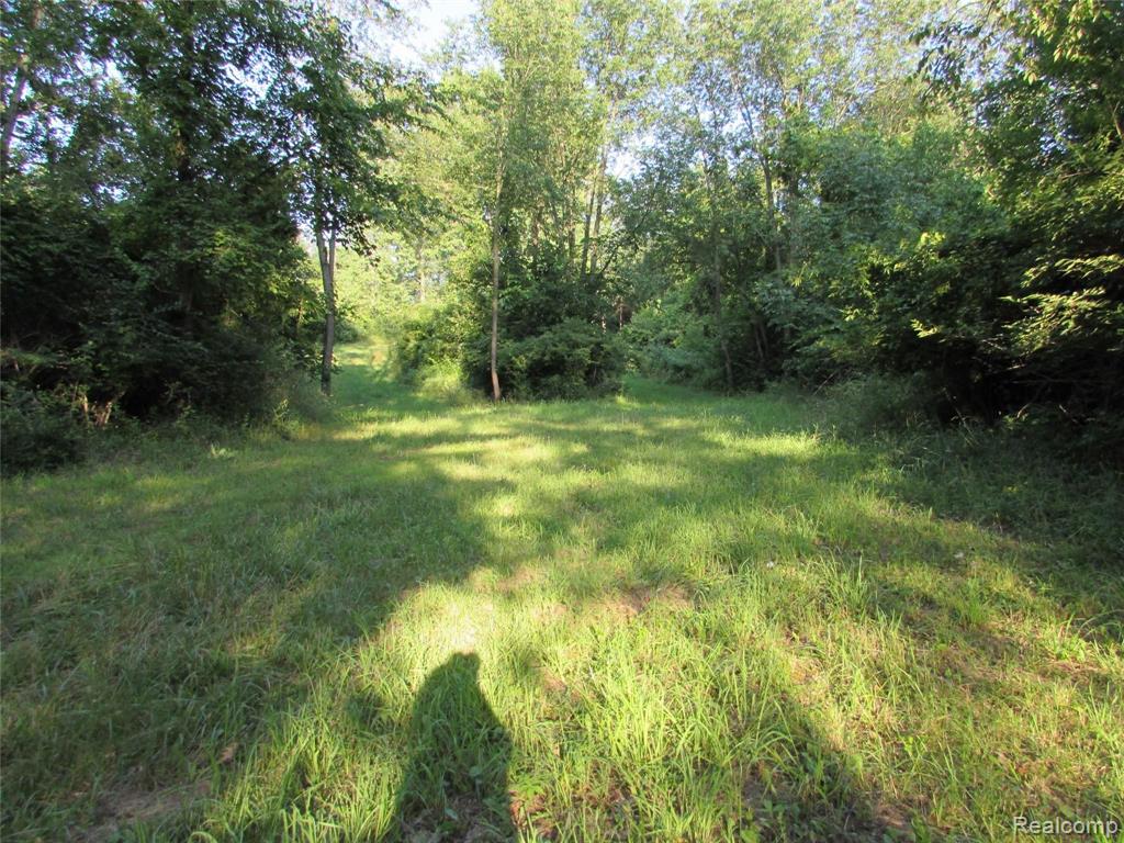 4636 Thomas Road Metamora, MI 48455 - Photo 43 of 56