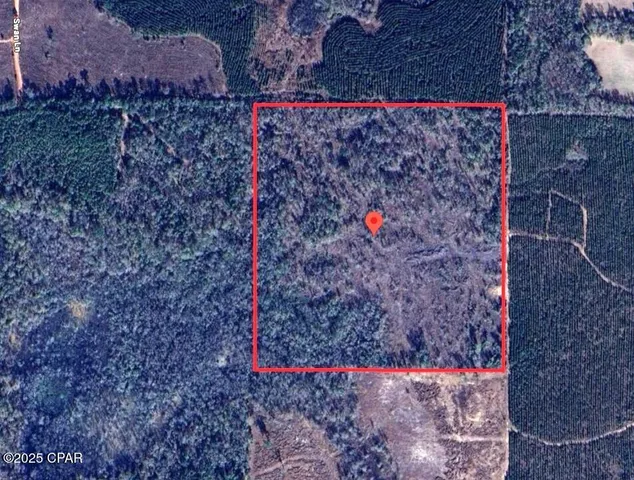 $140,000 | 40-acres Swan Lane, Marianna, FL 32446