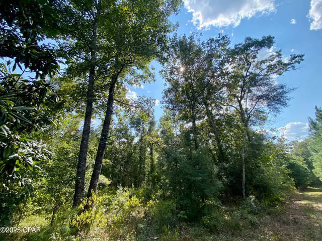 $140,000 | 40-acres Swan Lane, Marianna, FL 32446