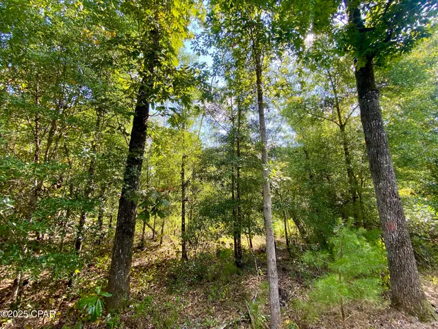 $140,000 | 40-acres Swan Lane, Marianna, FL 32446