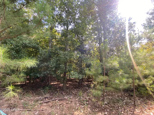 $140,000 | 40-acres Swan Lane, Marianna, FL 32446