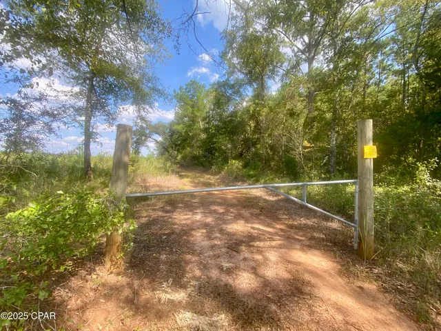 $140,000 | 40-acres Swan Lane, Marianna, FL 32446
