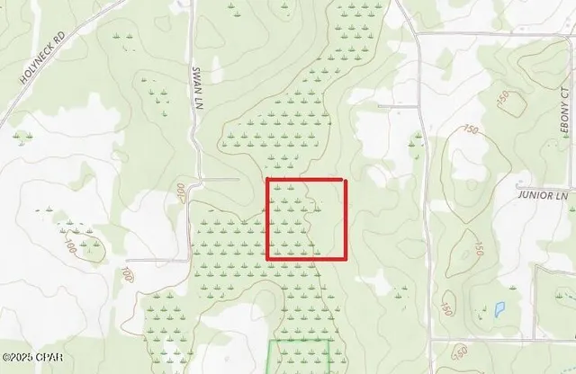 $140,000 | 40-acres Swan Lane, Marianna, FL 32446
