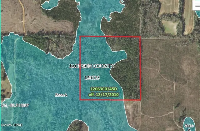$140,000 | 40-acres Swan Lane, Marianna, FL 32446