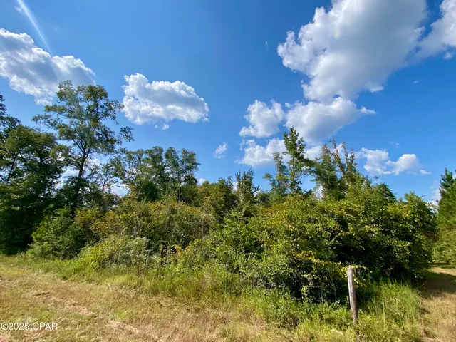 $140,000 | 40-acres Swan Lane, Marianna, FL 32446