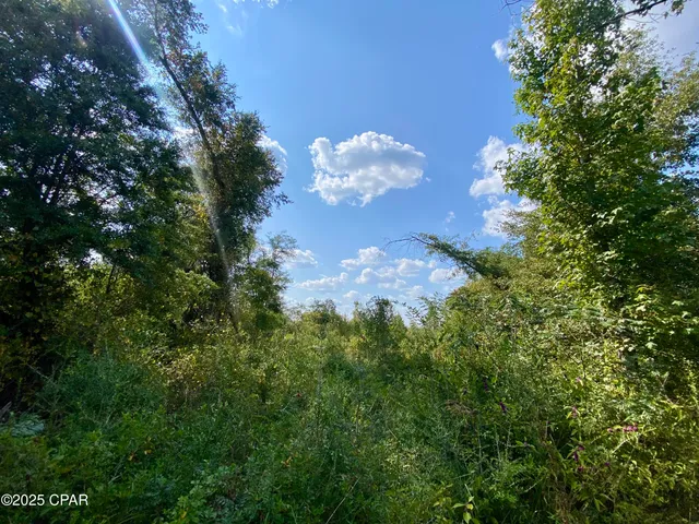 $140,000 | 40-acres Swan Lane, Marianna, FL 32446