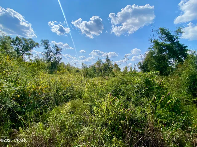 $140,000 | 40-acres Swan Lane, Marianna, FL 32446