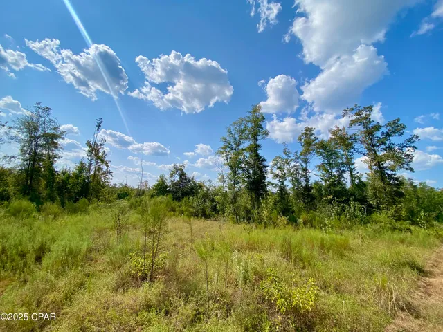 $140,000 | 40-acres Swan Lane, Marianna, FL 32446