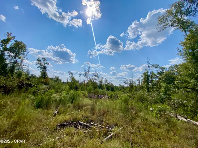 $140,000 | 40-acres Swan Lane, Marianna, FL 32446