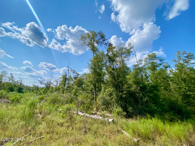 $140,000 | 40-acres Swan Lane, Marianna, FL 32446