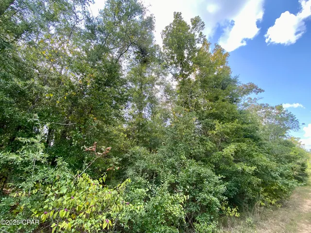 $140,000 | 40-acres Swan Lane, Marianna, FL 32446