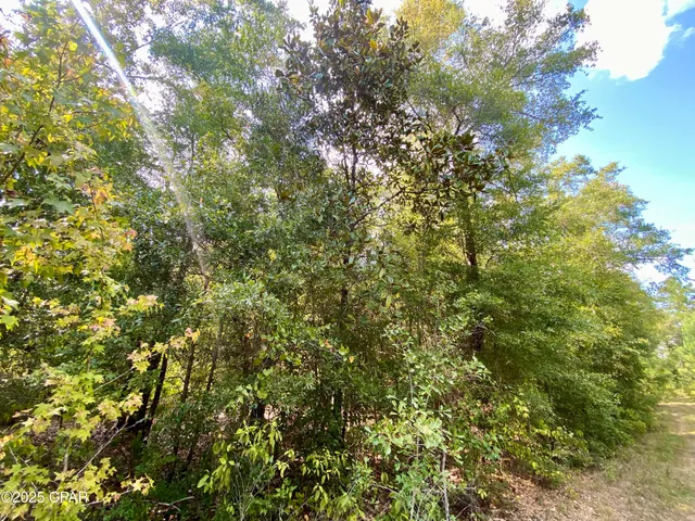 $140,000 | 40-acres Swan Lane, Marianna, FL 32446