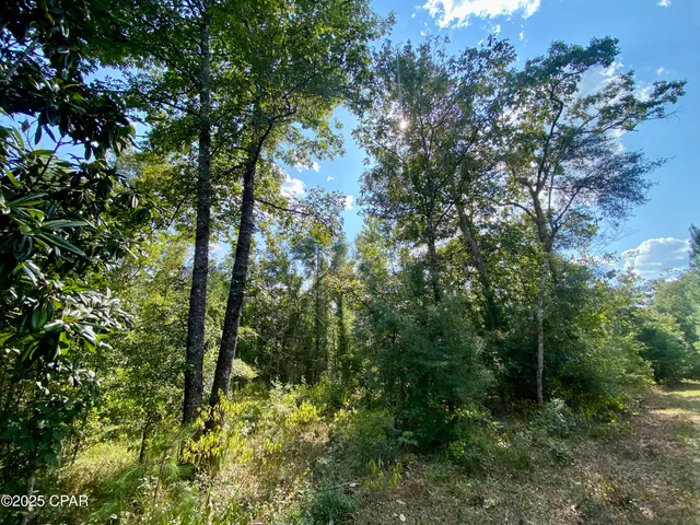 $140,000 | 40-acres Swan Lane, Marianna, FL 32446