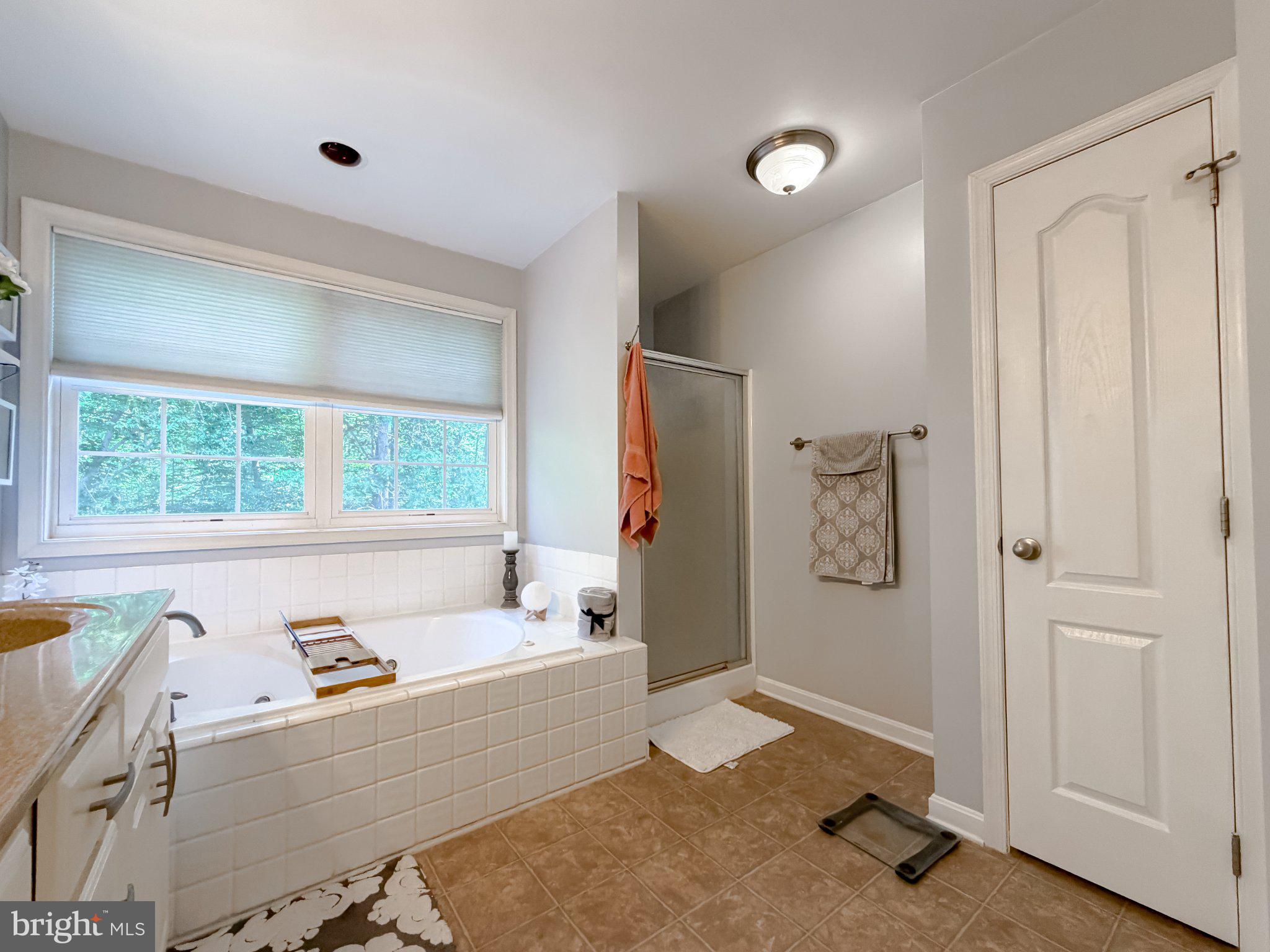 6020 Port Tobacco Road Indian Head, MD 20640 - Photo 22 of 59 Serene bathroom with natural light.