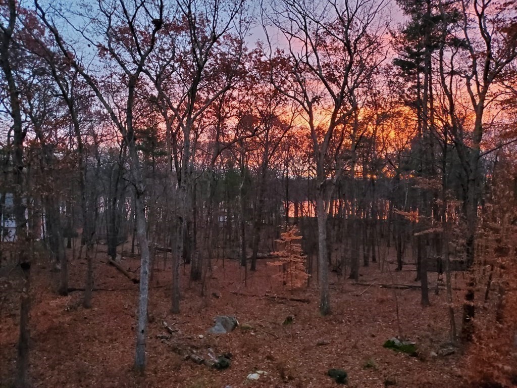82 Nashoba Road Littleton, MA 01460 - Photo 3 of 39 a view of a forest filled with trees