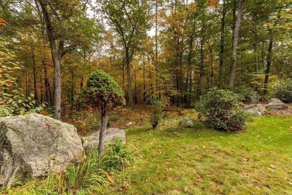 82 Nashoba Road Littleton, MA 01460 - Photo 32 of 39 a view of yard with trees