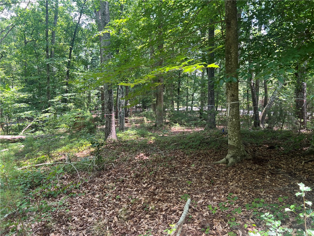 0 Promontory Ridge, Unit LOT 45 STILLWATER Seneca, SC 29672 - Photo 12 of 26