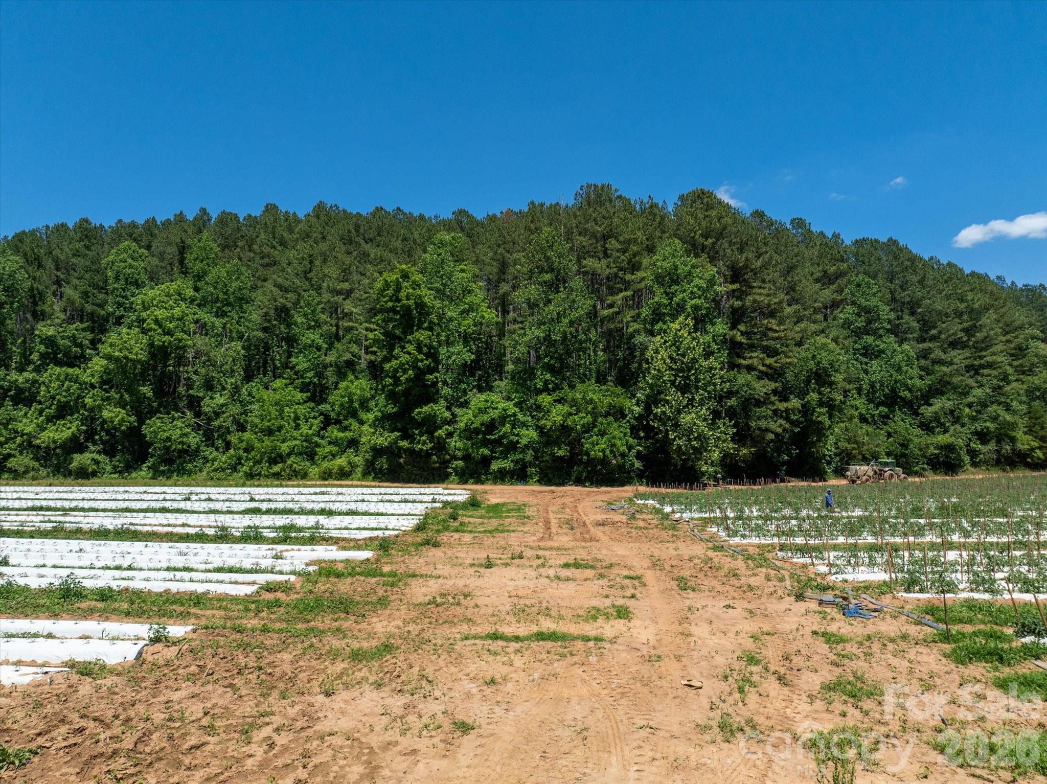 99999 Tryon Road Rutherfordton, NC 28139 - Photo 5 of 25
