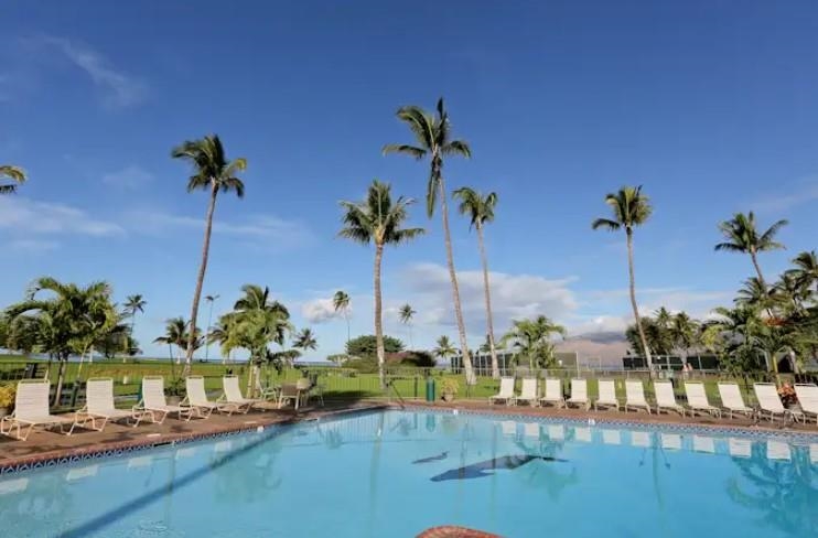 1032 South Kihei Road, Unit A103 Kihei, HI 96753 - Photo 26 of 48 a table with potted plants and palm tree