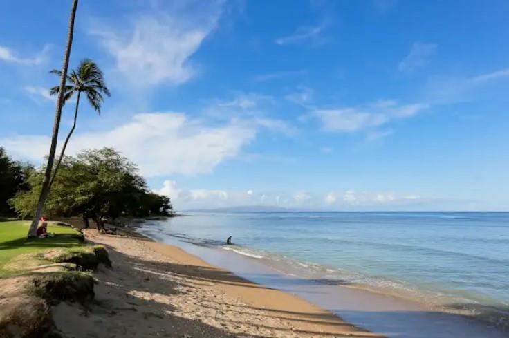 1032 South Kihei Road, Unit A103 Kihei, HI 96753 - Photo 3 of 48 a view of a yard