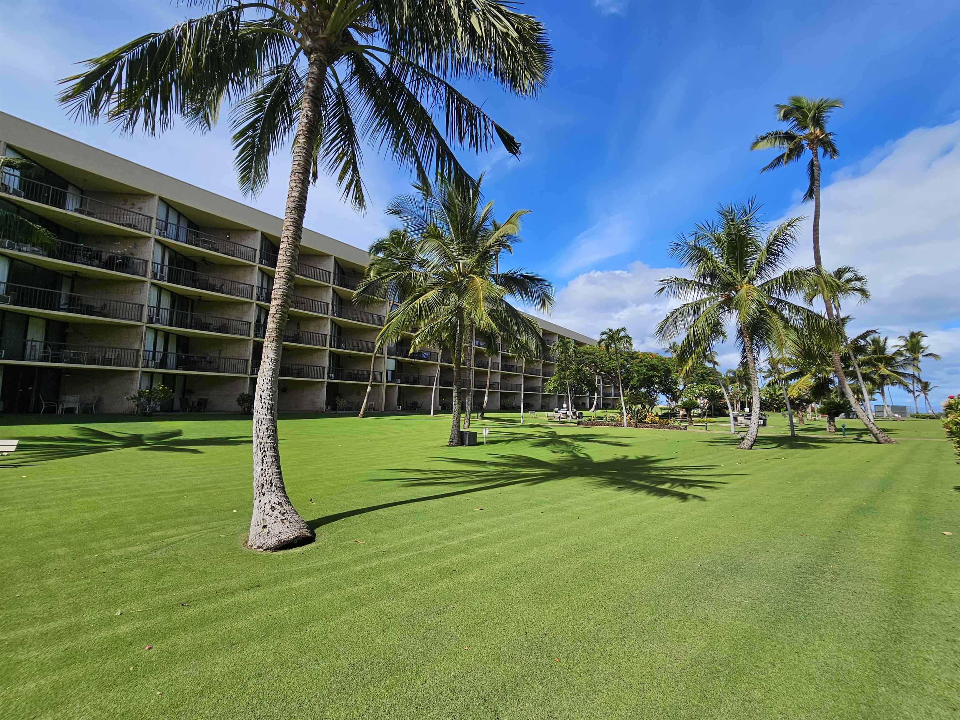 1032 South Kihei Road, Unit A103 Kihei, HI 96753 - Photo 39 of 48 a view of a park with a palm tree
