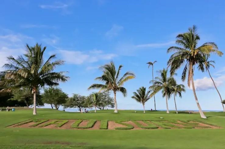 1032 South Kihei Road, Unit A103 Kihei, HI 96753 - Photo 4 of 48 a view of three palm trees