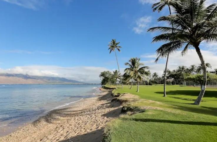 1032 South Kihei Road, Unit A103 Kihei, HI 96753 - Photo 7 of 48 a view of a park with a palm tree