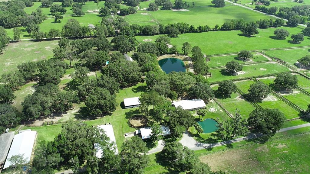 13450 Northwest Gainesville Road Reddick, FL 32686 - Photo 29 of 89 Gallery Image 29