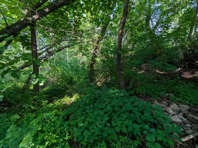 $14,900 | 3-xx North 83rd Avenue West, Duluth, MN 55807