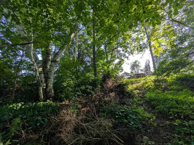 $14,900 | 3-xx North 83rd Avenue West, Duluth, MN 55807