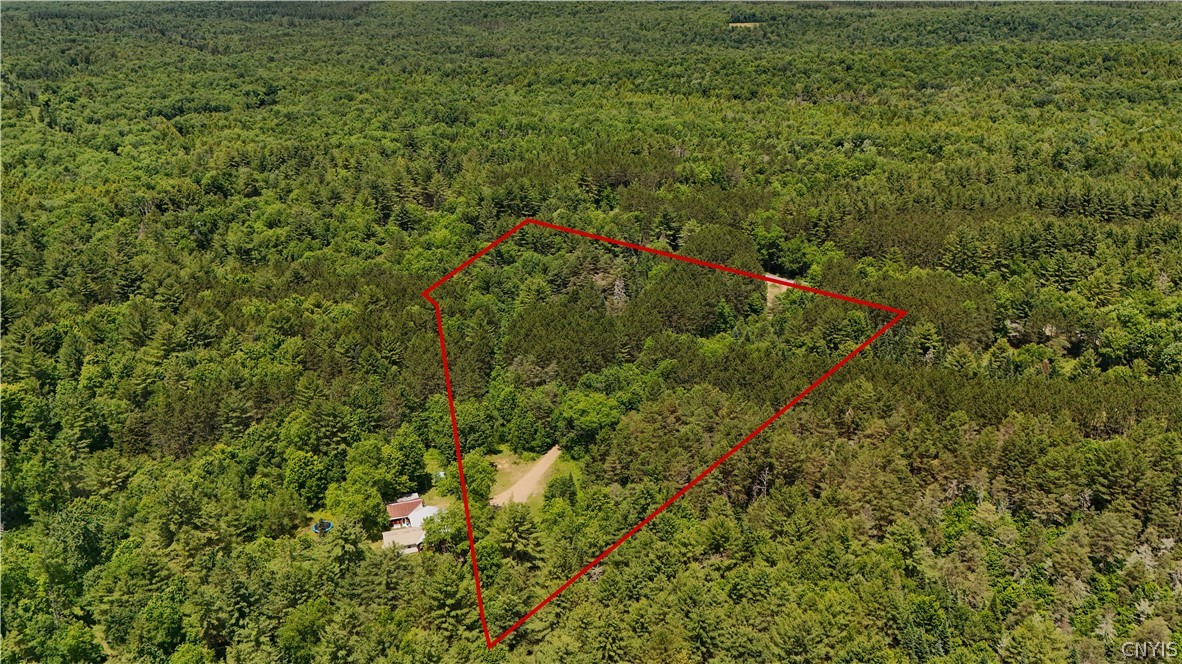 Bellingertown Road Forestport, NY 13338 - Photo 8 of 12