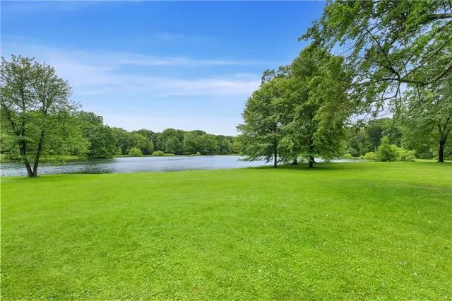 a view of a park with trees and grass