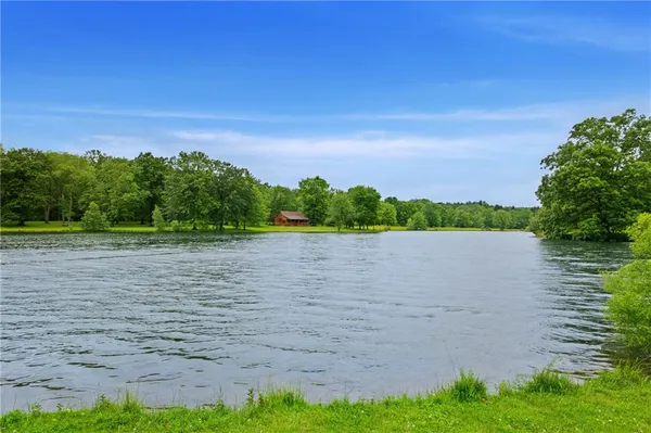 a huge green field with lots of trees