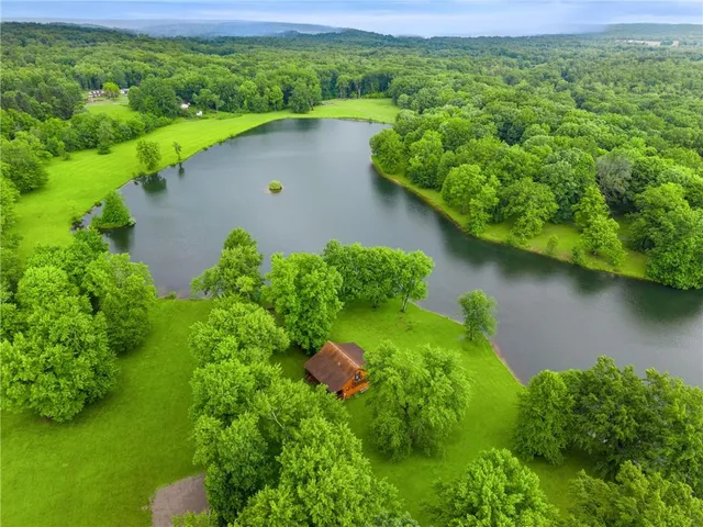 a view of a garden with a lake