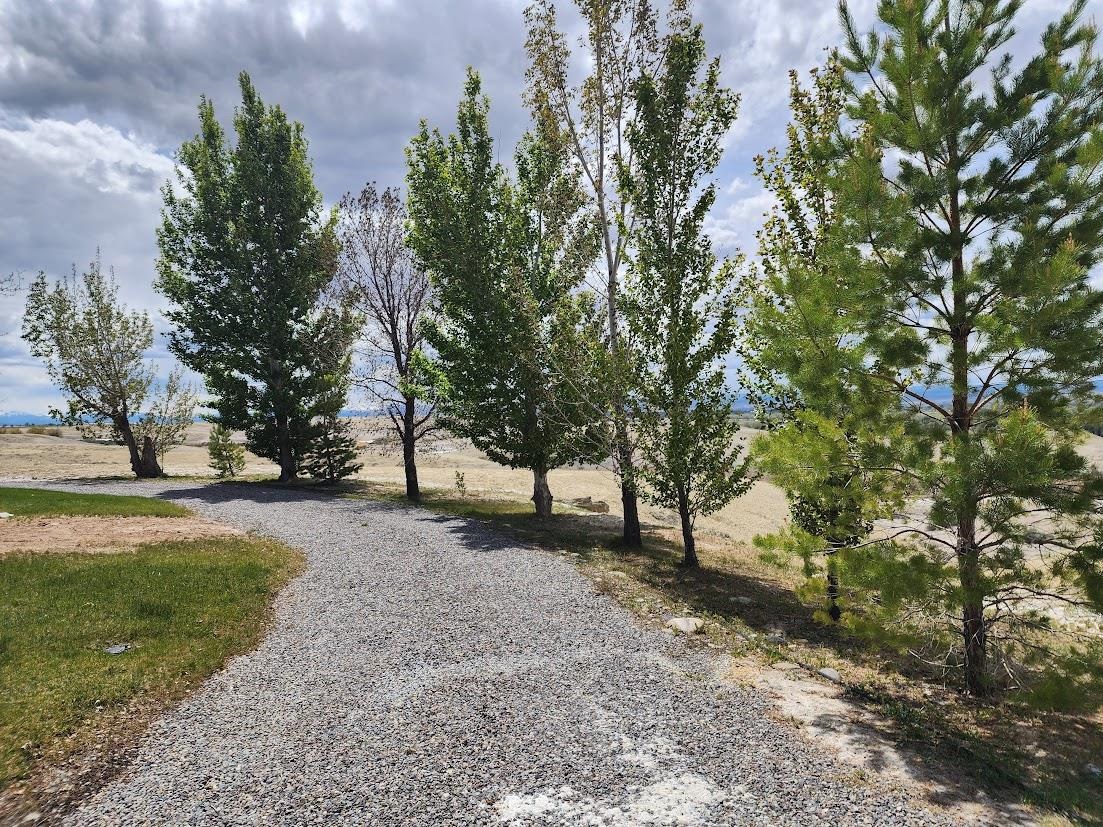 19548 B50 Road Delta, CO 81416 - Photo 24 of 37 a view of a tree in a yard