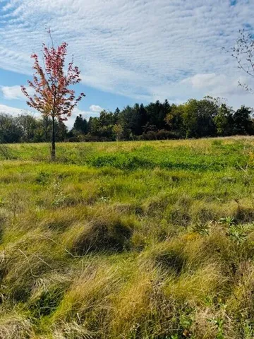 $42,000 | Lt6 Eastview Drive, Sharon, WI 53585